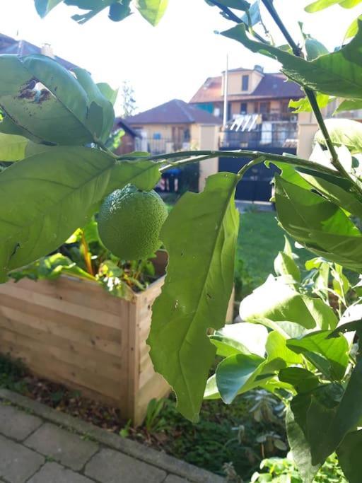 Appartamento Casasassi Torino Esterno foto