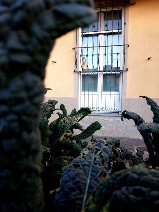 Appartamento Casasassi Torino Esterno foto