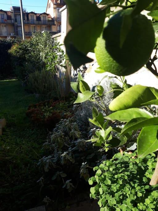 Appartamento Casasassi Torino Esterno foto